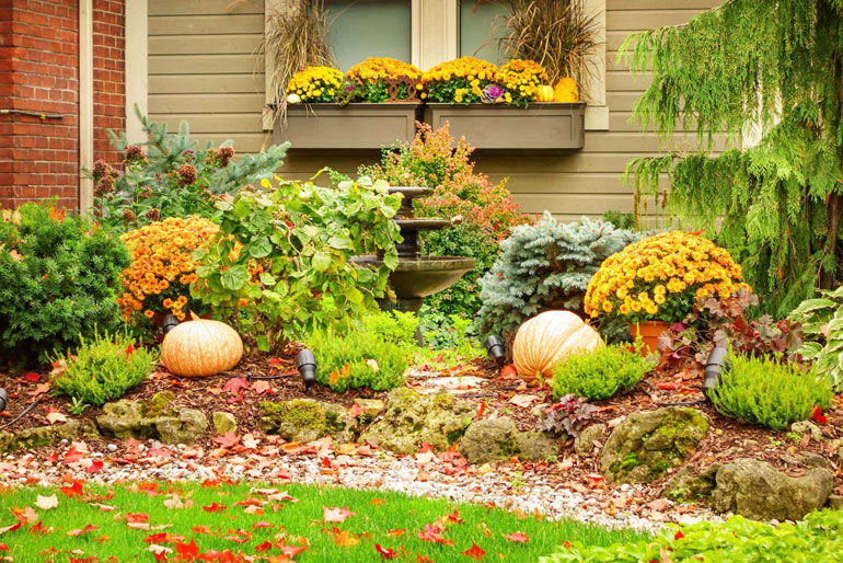 Fall Garden