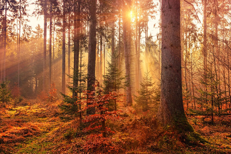 First Day of Fall